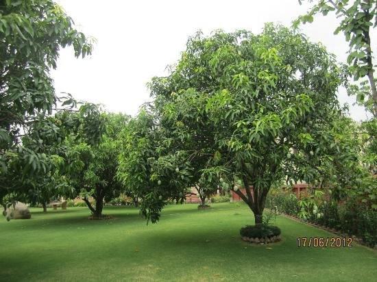 Jim Corbett Resort Ramnagar  Exterior photo